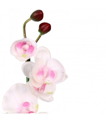 Maceta orquídea blanco