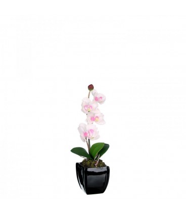 Maceta orquídea blanco