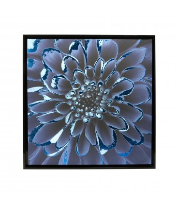 Cuadro 55x55 flor azul