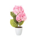 Planta hortensia rosa 11,80x44 cm