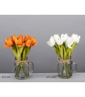 Tulipán aguas mágicas 25 cm